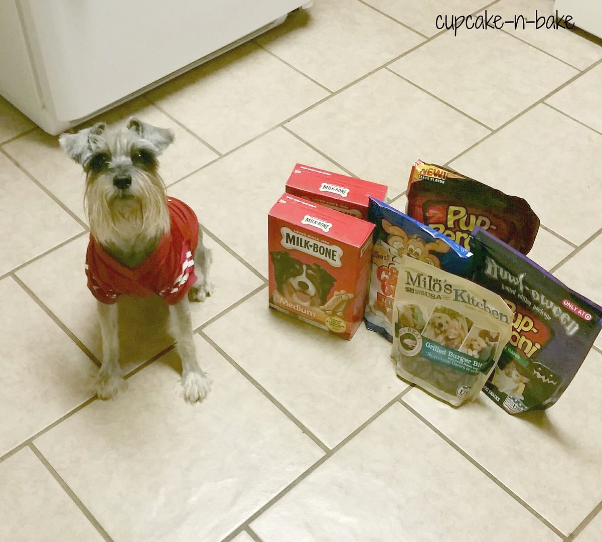  Trick or Treat with your pup this Howl-o-ween. @cupcake_n_bake @milkbone