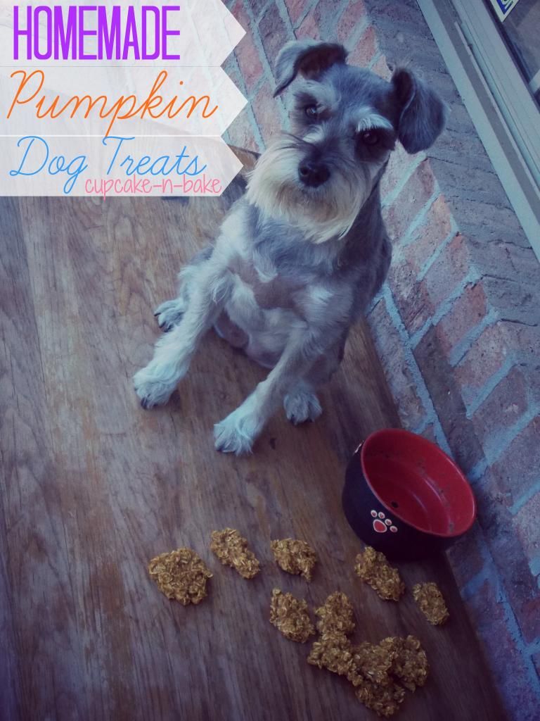 Homemade Pumpkin Dog Treats via @cupcake_n_bake #pumpkin #dogtreats #homemade