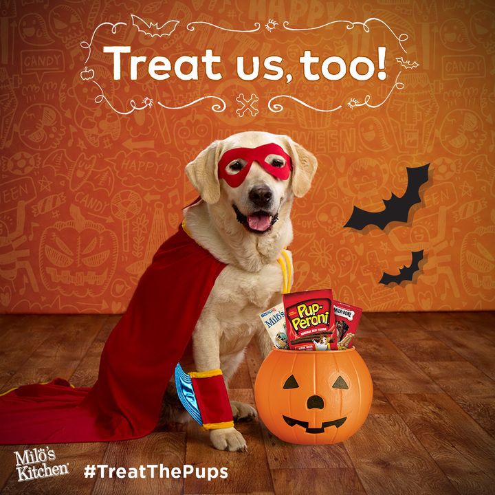 Trick or Treat with your pup this Howl-o-ween! @cupcake_n_bake @milkbone
