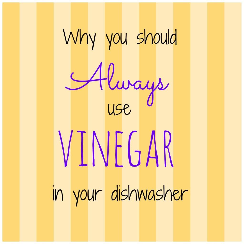  Why you should always use #vinegar in your dishwasher via @cupcake_n_bake #springcleaning