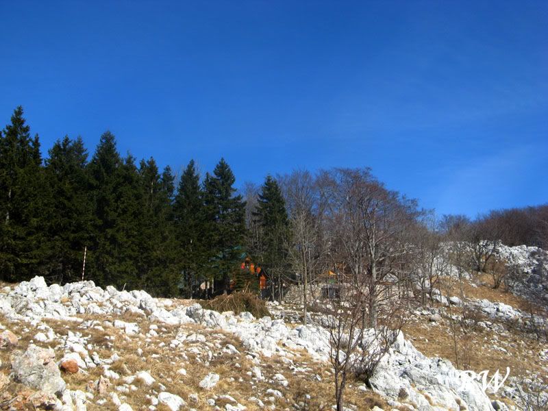 20120303_0534.jpg 