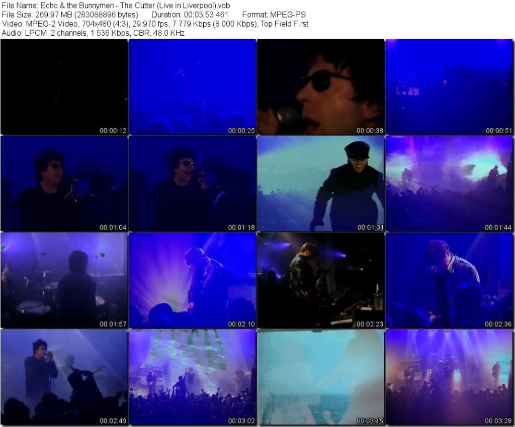 EchotheBunnymen-TheCutterLiveinLiverpoolvob_tn.jpg