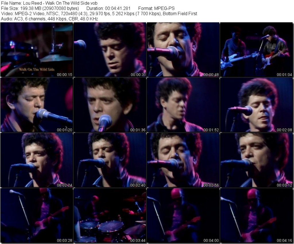 LouReed-WalkOnTheWildSidevob_tn.jpg