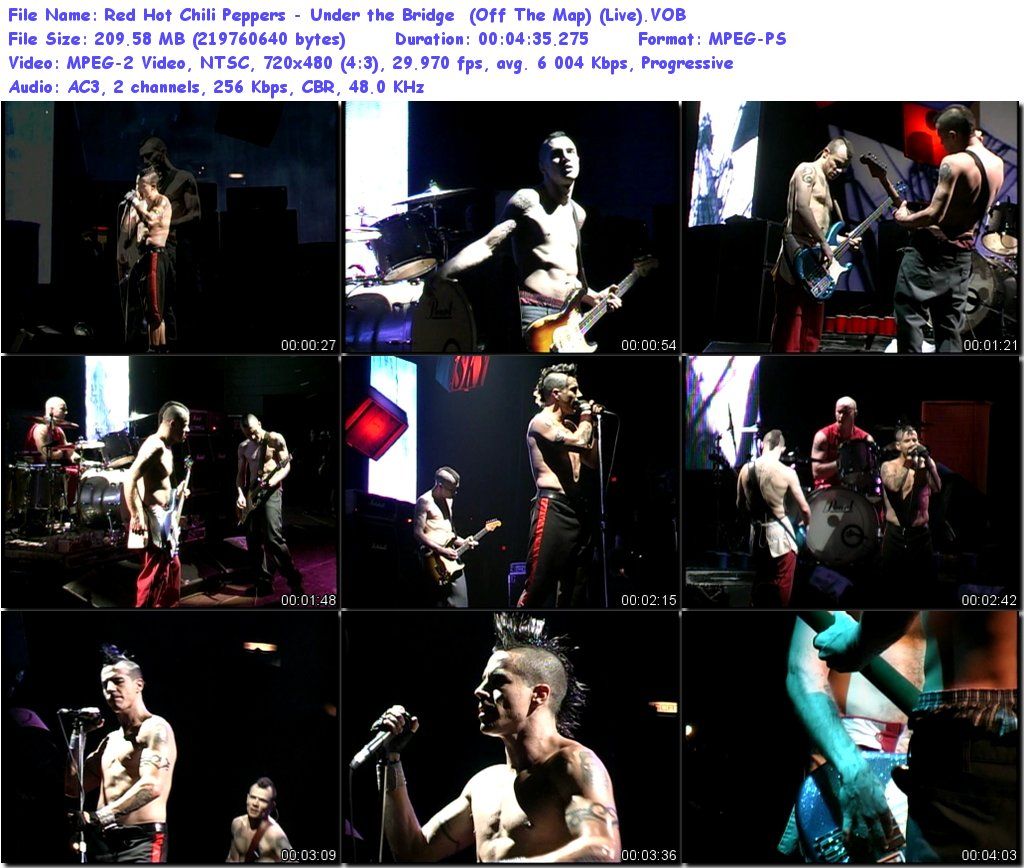 RedHotChiliPeppers-UndertheBridgeOffTheMapLiveVOB_tn_zps291de430.jpg