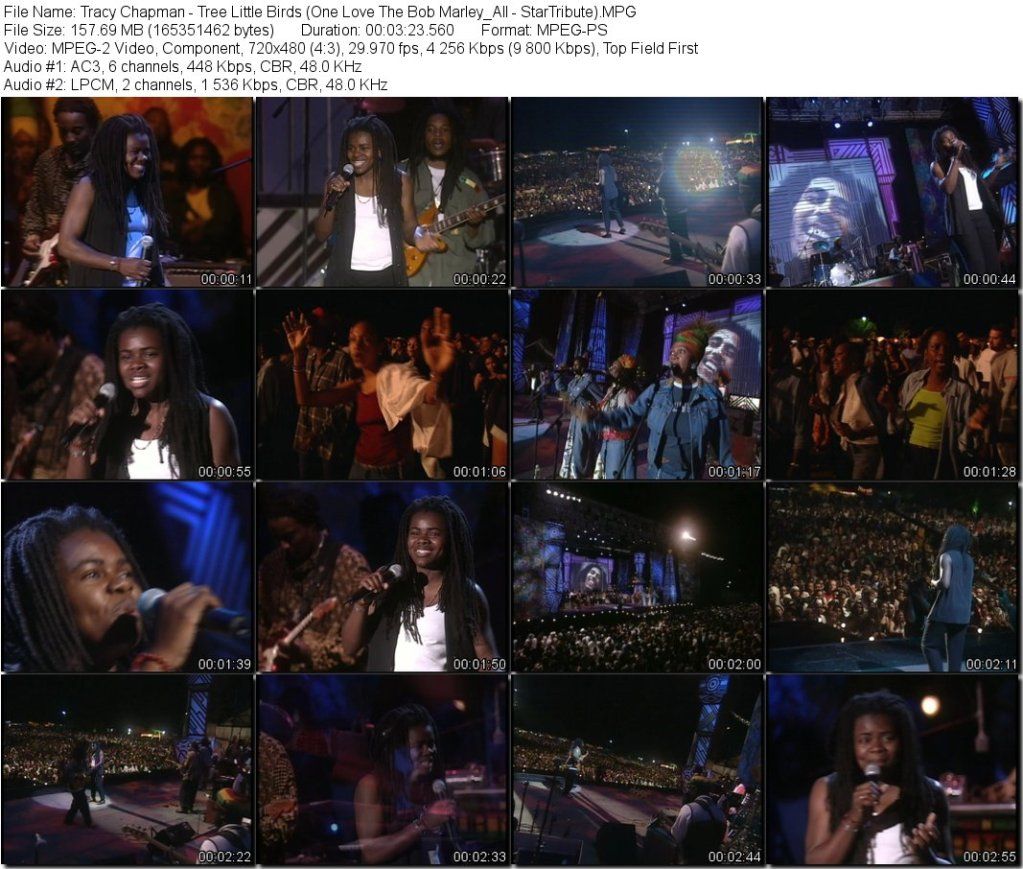 TracyChapman-TreeLittleBirdsOneLoveTheBobMarley_All-StarTributeMPG_tn.jpg