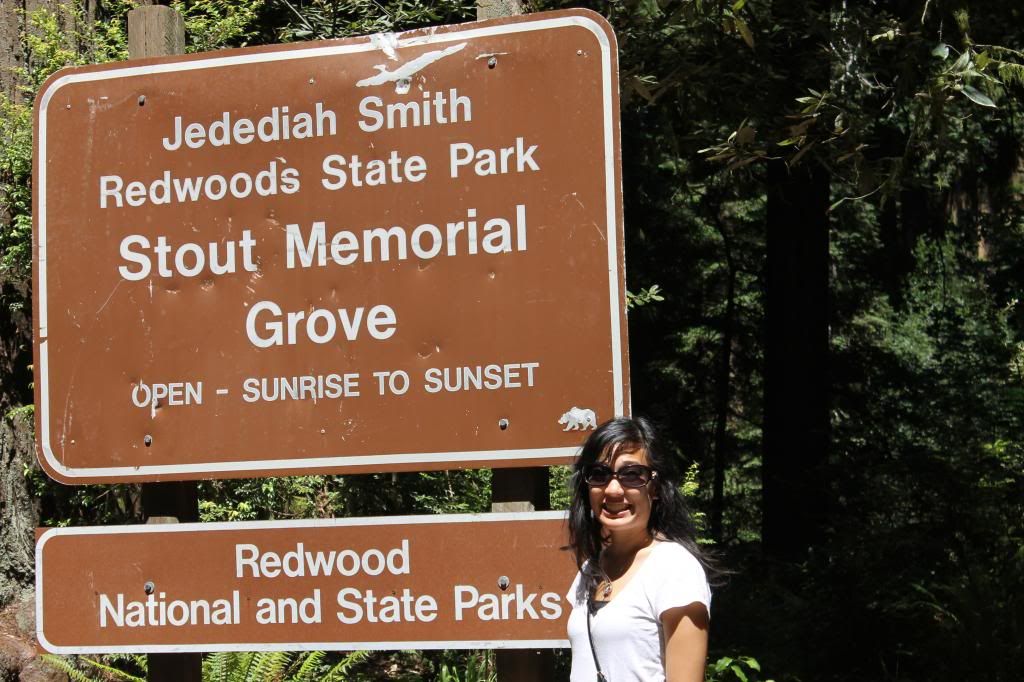 Stout Grove