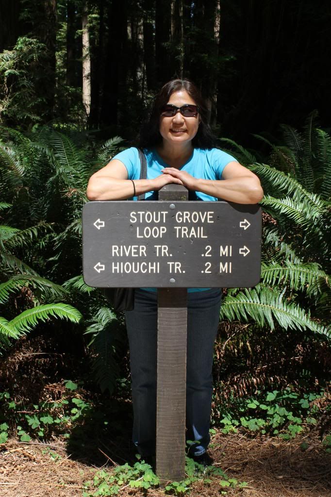 Stout Grove