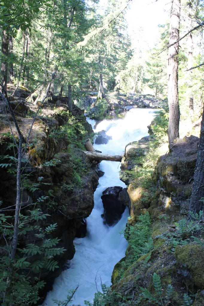 Rogue Gorge