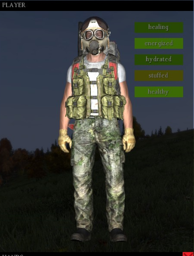 dayz_zps79b7fee4.png