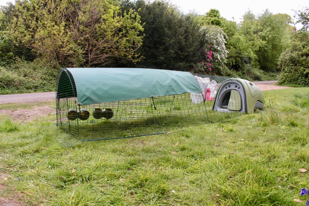 OMLET EGLU CLASSIC CHICKEN COOP + 3m RUN + EVERYTHING YOU NEED just add