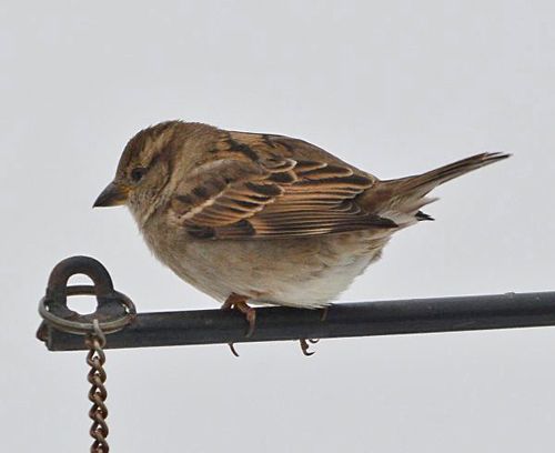 photo HOSP-F-2014-02-04c99b_zpsd0fitb1v.jpg