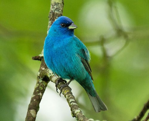 photo INBU- 2015-05-14-c99_edited-1_zpsc9niafhi.jpg