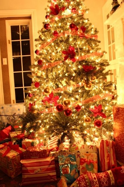 photo IMG_4383 427x640_zpsbpfv21jh.jpg