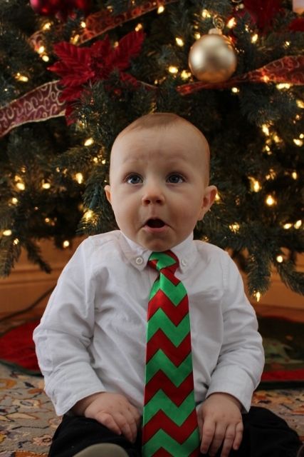 photo IMG_4495 427x640_zpssxi9ycih.jpg