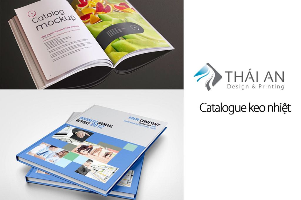 Thiết kế catalogue tại Hà Nội- Công ty Thái An