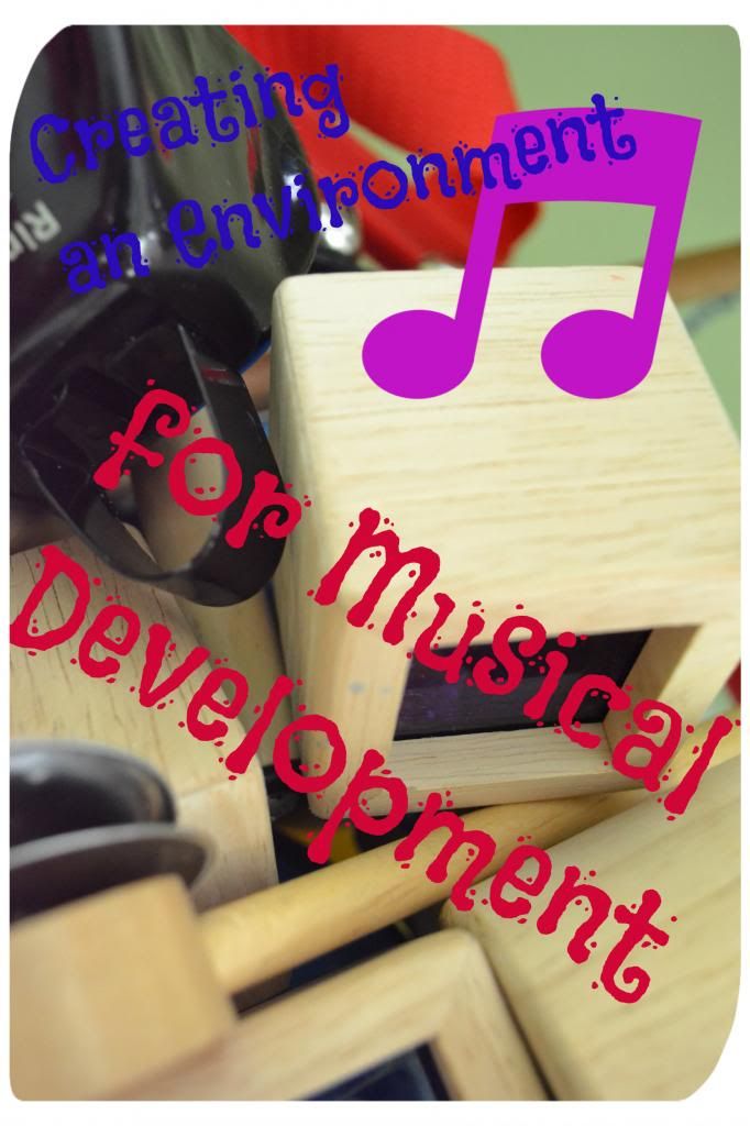 Creating an Environment for Musical Development