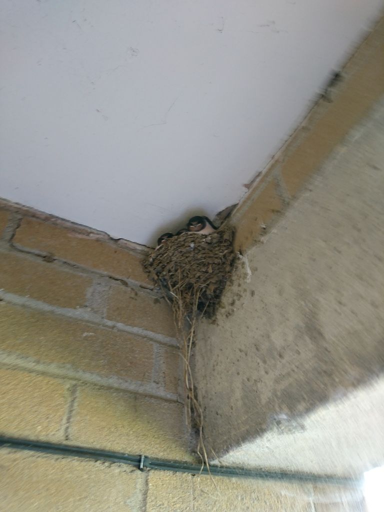 Image: http://i1172.photobucket.com/albums/r577/hughesyboozy/DSC_0040.jpg