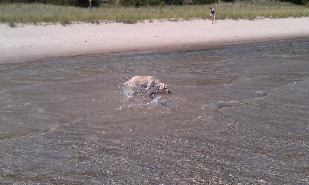 Whitefish Dunes Dog Beach whitefish Dunes Dog Beach