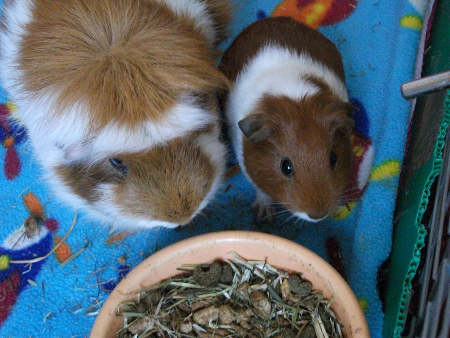 DSCF1217.jpg